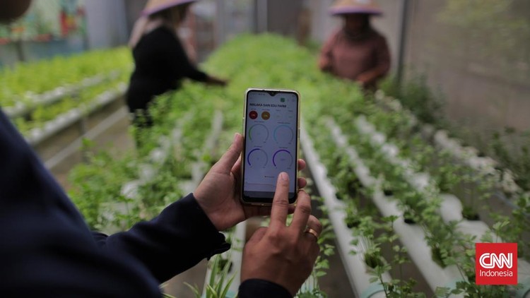 FOTO: Ibu-ibu Kelompok Tani Manfaatkan Teknologi untuk Urban Farming